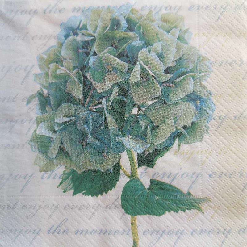 Salvrätik 33*33 Hortensia sinkjas 1tk  