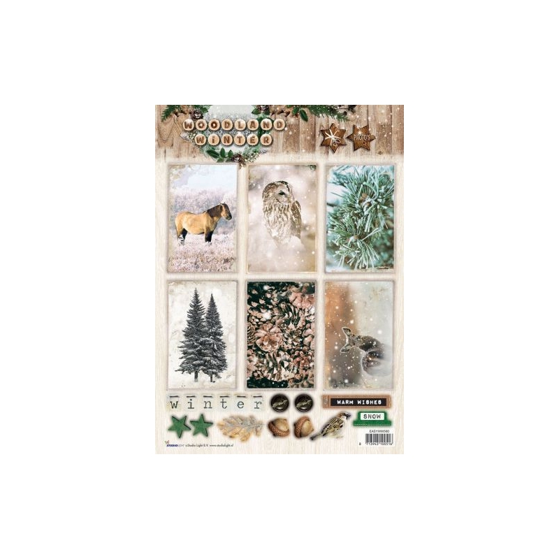 Disainpaber A4 Winter Woodland EASYWW580