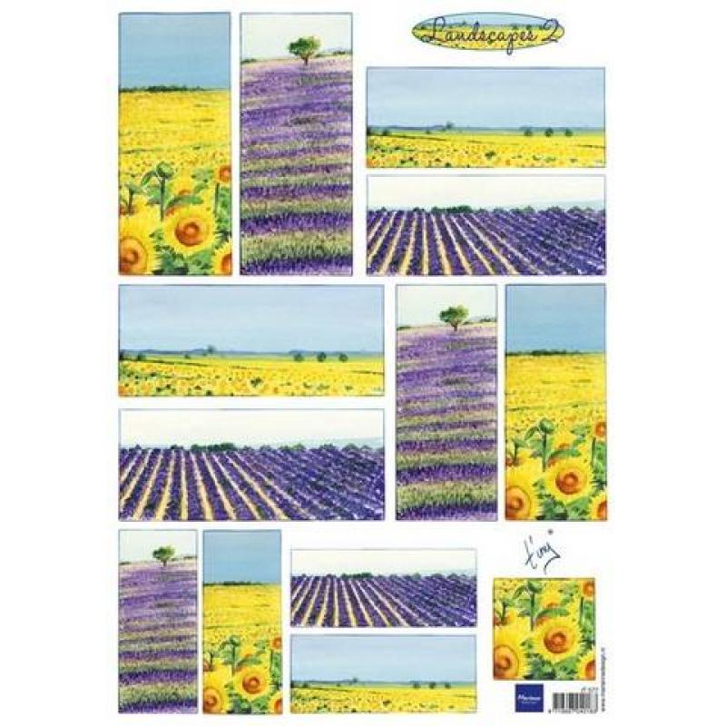 A4 paber "Lavendel" IT577