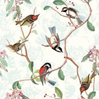 craft-emotions-napkins-5pcs-birdsong-11147-p.jpg
