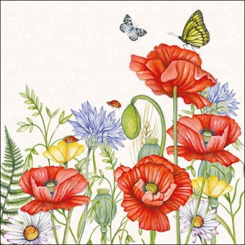 craftemotions-napkins-5pcs-summer-flowers-33x33cm-ambiente-1330-325629-en-G.jpg
