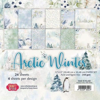 craft-you-arctic-winter-small-paper-pad-6x6-36-sheet-cpb-aw15-10-322414-en-G.jpg