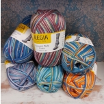 Regia 6* Autumn Color 150g / 375m 