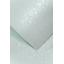 Karton_A4_PR_Liscie_szary_203608_5903069007957.jpg